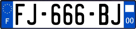 FJ-666-BJ