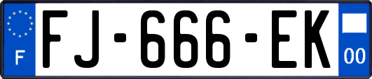 FJ-666-EK