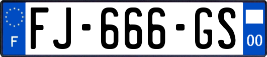 FJ-666-GS