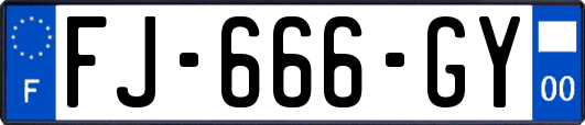 FJ-666-GY