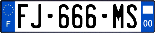 FJ-666-MS