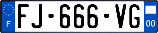 FJ-666-VG