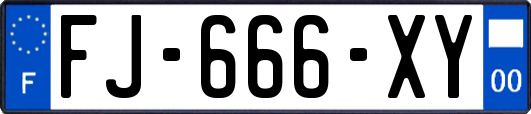 FJ-666-XY