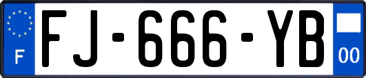 FJ-666-YB