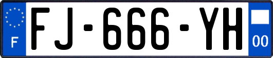 FJ-666-YH