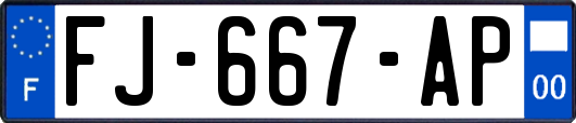 FJ-667-AP