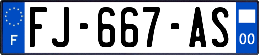 FJ-667-AS