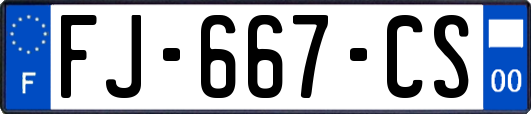 FJ-667-CS