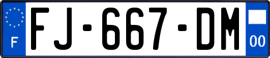 FJ-667-DM