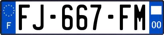 FJ-667-FM