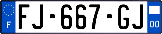 FJ-667-GJ