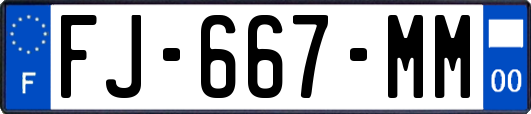 FJ-667-MM