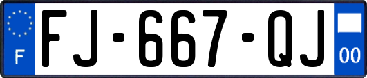 FJ-667-QJ