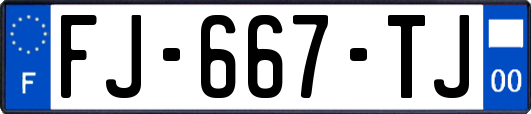 FJ-667-TJ