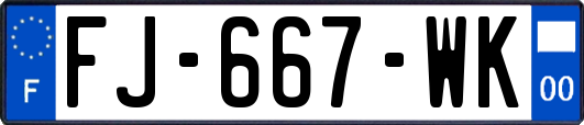 FJ-667-WK