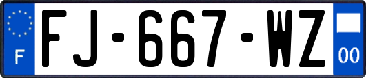 FJ-667-WZ