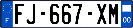 FJ-667-XM