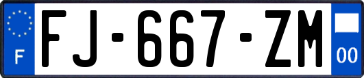 FJ-667-ZM