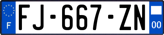 FJ-667-ZN