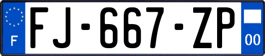 FJ-667-ZP