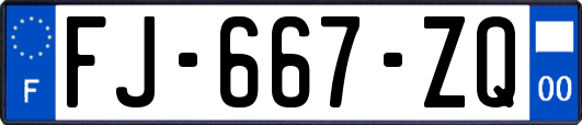 FJ-667-ZQ