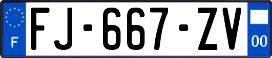 FJ-667-ZV