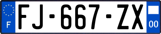 FJ-667-ZX