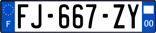 FJ-667-ZY