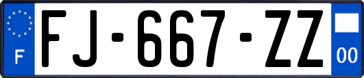 FJ-667-ZZ