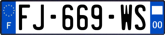 FJ-669-WS