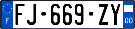 FJ-669-ZY