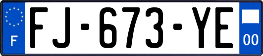 FJ-673-YE