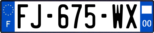 FJ-675-WX