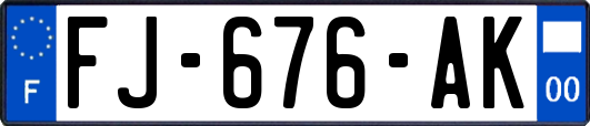 FJ-676-AK