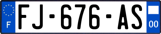 FJ-676-AS