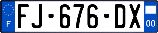 FJ-676-DX