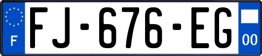 FJ-676-EG