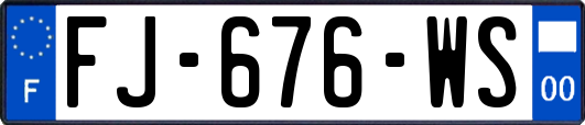 FJ-676-WS