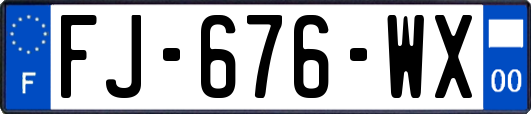 FJ-676-WX