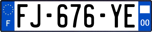 FJ-676-YE