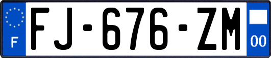 FJ-676-ZM