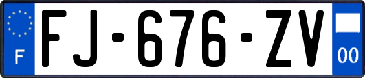 FJ-676-ZV