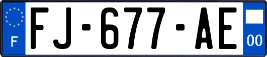 FJ-677-AE