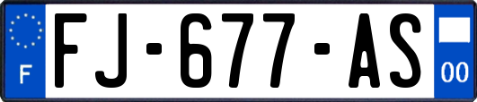 FJ-677-AS