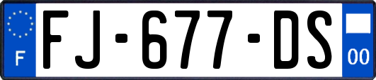FJ-677-DS