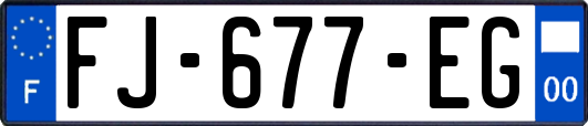 FJ-677-EG