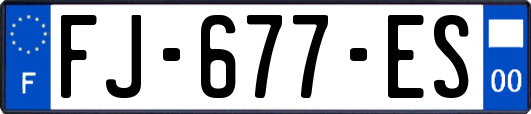 FJ-677-ES