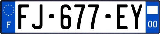 FJ-677-EY