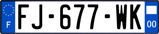 FJ-677-WK