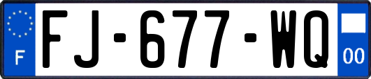 FJ-677-WQ